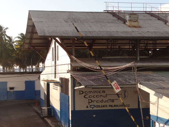 Colgate-Palmolive-Fabrik | Seifen sind neben Bananen ein wichtiges Exportgut