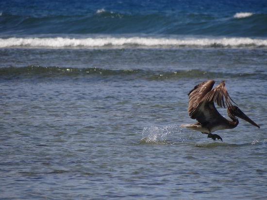 Bremsschirm ausgefahren