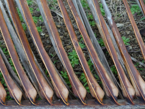 Bildrätsel | was ist das?