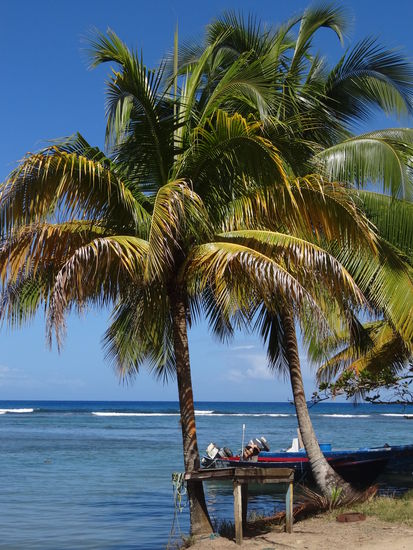 ein letzter wehmütiger Blick...