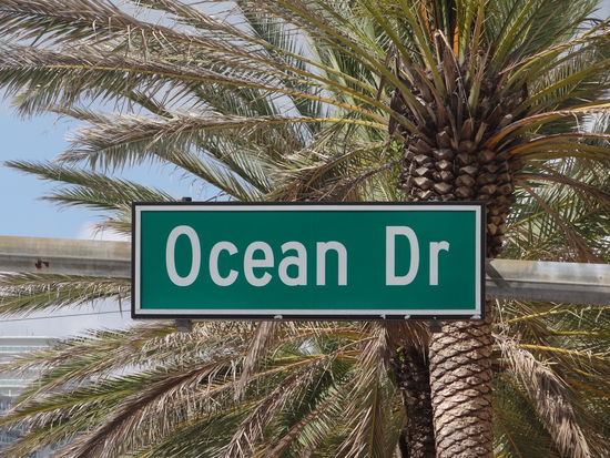 Palmem gibt's auch hier