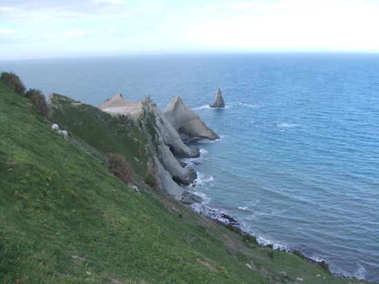 (...und da hinten auf dem Felsen auch)