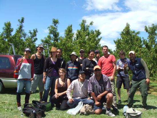 Abschlussfoto: Sachan(?), Francisco, Caro, Tomo, ich, Koi,?, Yeongjin/Kim, Hyunmi, ?, Etana (Supervisor), Jean-Marie, ?, Boaz