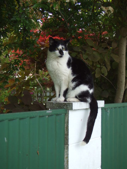 Ein netter Spaziergang durch Hastings auf der Suche nach einem Klavier...