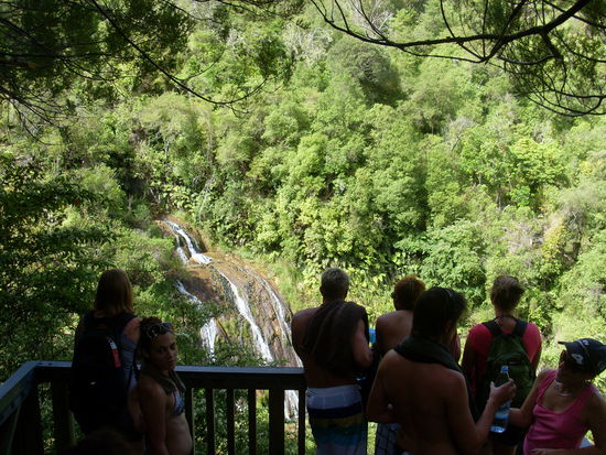 Tangoio Falls - Ein langer Marsch war es dorthin, aber alle haben erwartet, dass wir schwimmen könnten... Statt dessen gab es aber wenigstens eine tolle Aussicht!