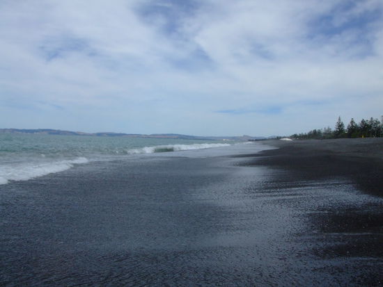 Napier Beach