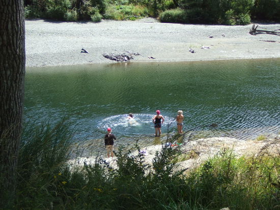 schwimmen im Pelorus River
