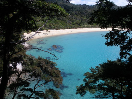 sehr häufinge Aussicht vom Weg aus...