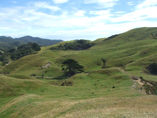 sieht aus wie in Hobbingen... =)