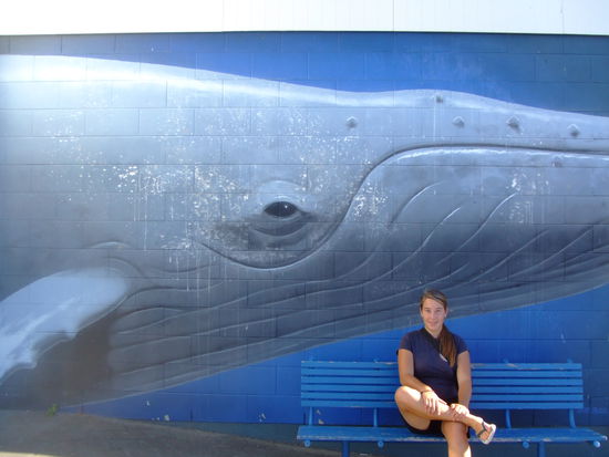 das berühmteste Bild Kaikouras