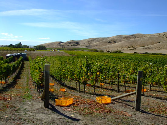 unser Arbeitsplatz...