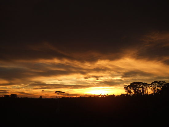 Die Kanone. xD  Die ist mit Gas betrieben, die Schussgeräusche sollen Vögel verscheuchen, die Arbeiter kriegen allerdings auch hin und wieder bald einen Herzinfarkt.