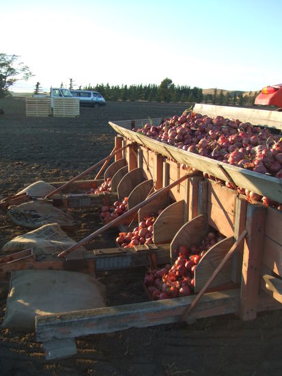 ...die alle in die Erde müssen, ...