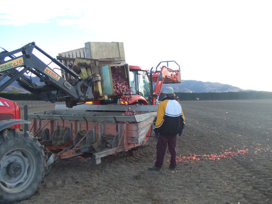 Und nächste Ladung. So geht das dann den ganzen Tag.