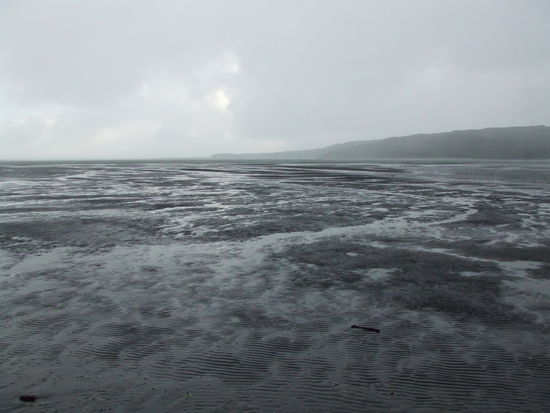 Strandspaziergang im Regen.