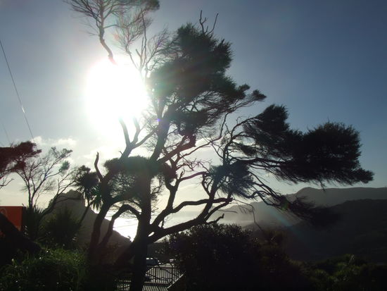 Auf dem Weg runter zum Strand.