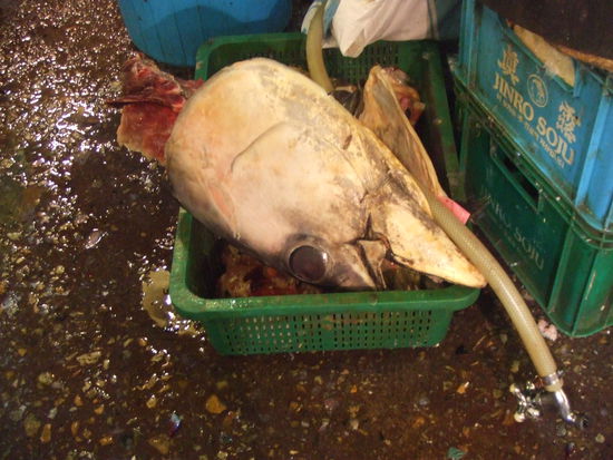 ...der war riiiesig!