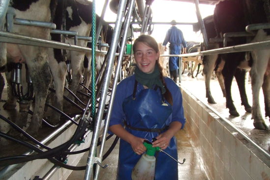 die ersten Melkerfahrungen