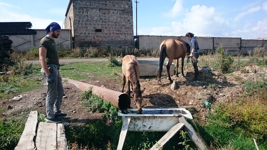 Badezimmer und Pferdetränke