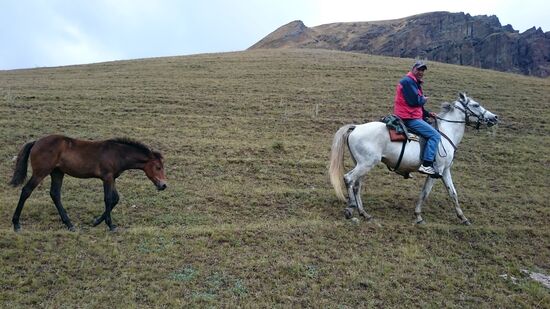 Tigran. Warrior Rider.
