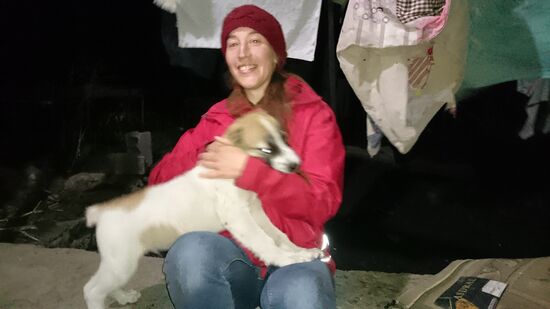 Babygamprspielattacke.