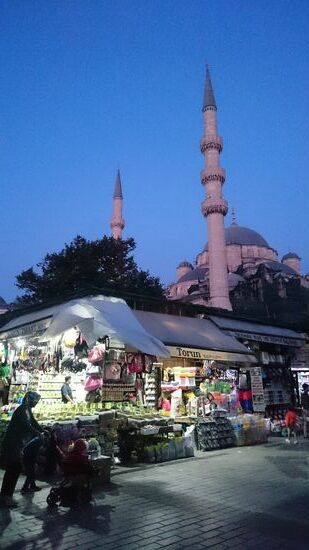 Wenn ich mich recht erinnere, ist dies der Markt für Garten, Kleintiere, Futter und Zubehör...