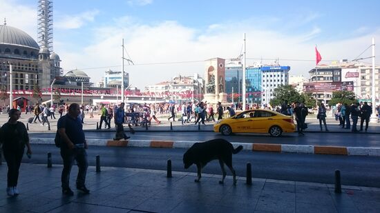 Riesiger lieber Hund am Taksim-Platz; noch einer, den ich am liebsten mit nach Hause genommen hätte.