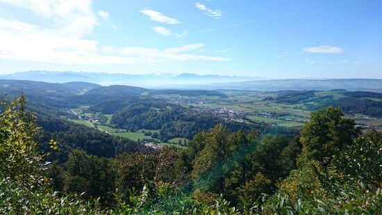 Aussicht vom Uetliberg bei Zürich (unten: auf Zürich).