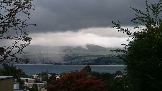 Zauberhafter Zürichsee.