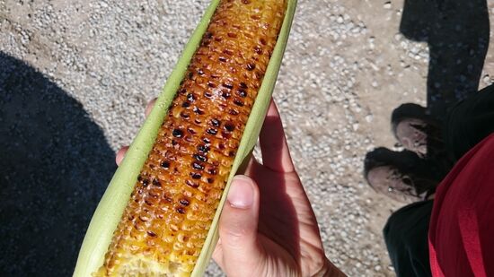 Plastikfreier Snack!