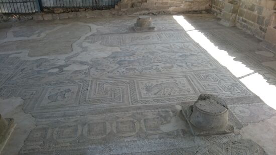 Ausgrabung in Erzican.