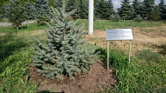 2018 hat auch Angie hier einen Baum gepflanzt.