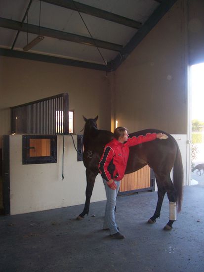 Telhavista (so heisst das Pferd)und ich beim Striegeln