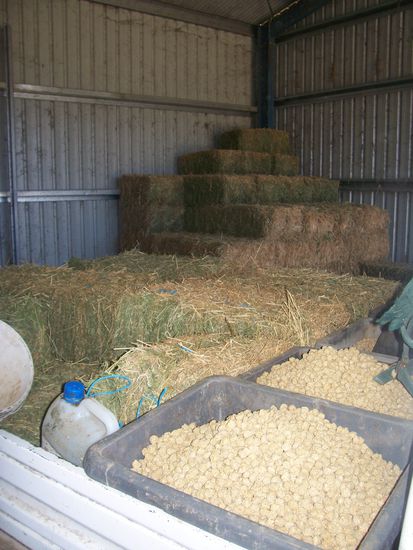 Hay and Nuts- jetzt kanns los gehn