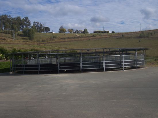 Der Walker von aussen