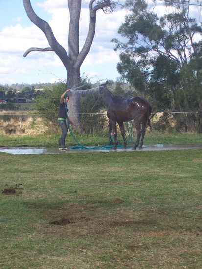 Emily beim Pferd waschen