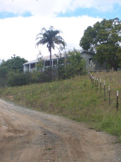 ...mit Palmen vor dem Haus...