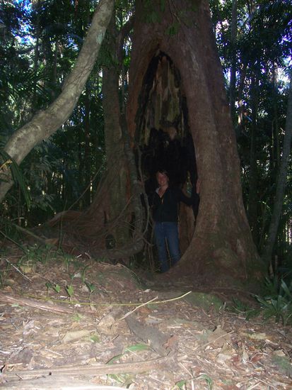 ...so gross und so weit ausgehoehlt, dass sogar ich darin stehen kann!