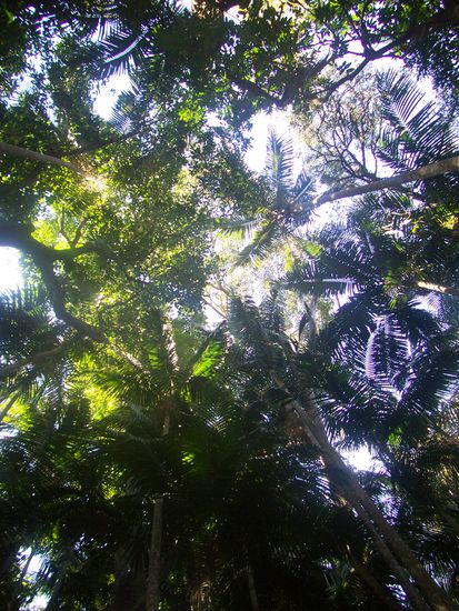 Ein Blick Richtung Himmel...