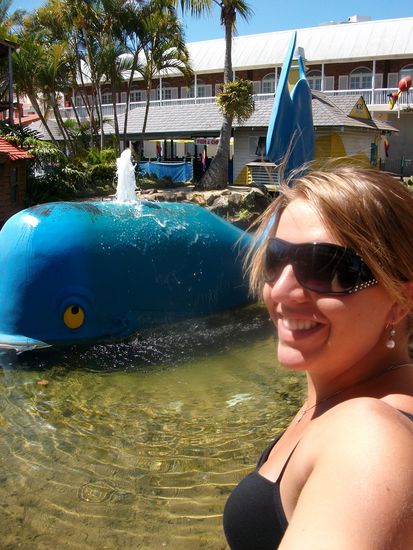 Wal!  Gesehen in Pacific Fair, nur fuer den Fall, dass ich das Boot nochmal verpassen sollte