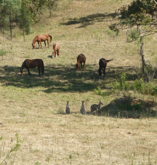 ...meine netten Nachbarn...