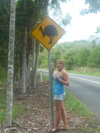 Achtung Kassowari! Die Dinger koennen einen mit ihrem Horn auf dem Kopf ins Jenseits schicken...