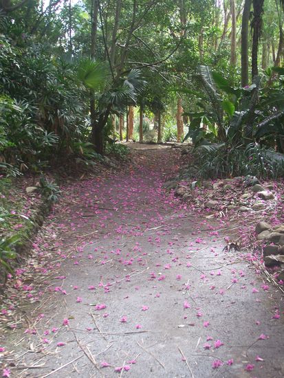 Im botanischen Garten