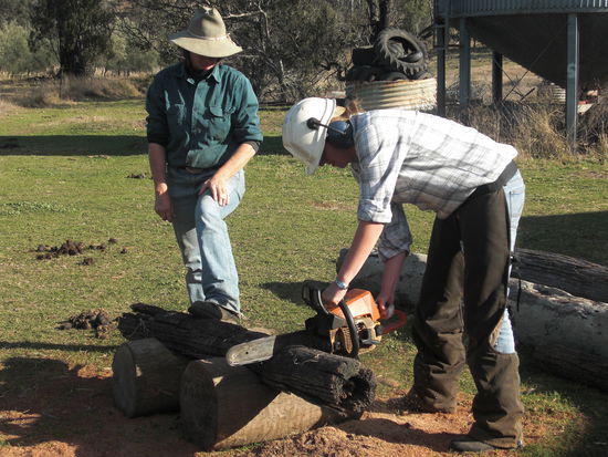 chain saw- Saegen auf hoechstem Niveau