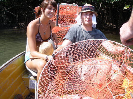 Fischfanggeräte für Krebs