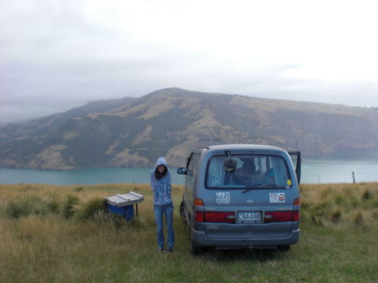 zu kalt um mit den delfinen schwimmen zu gehen