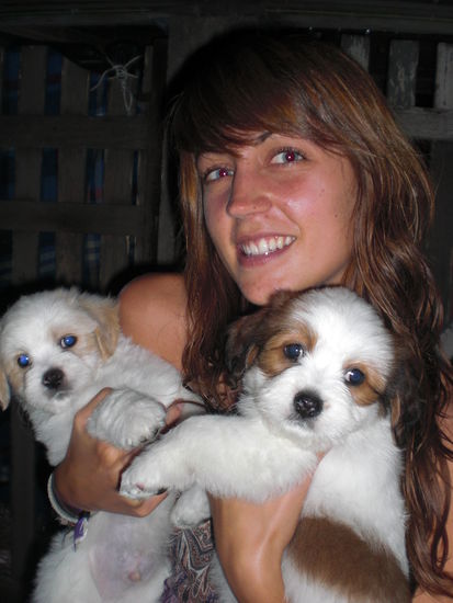 ich hab einfach nicht genug bekommen