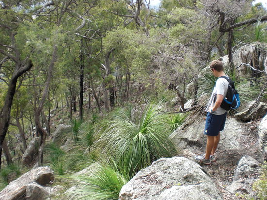 also ich erkenne da keinen Weg....