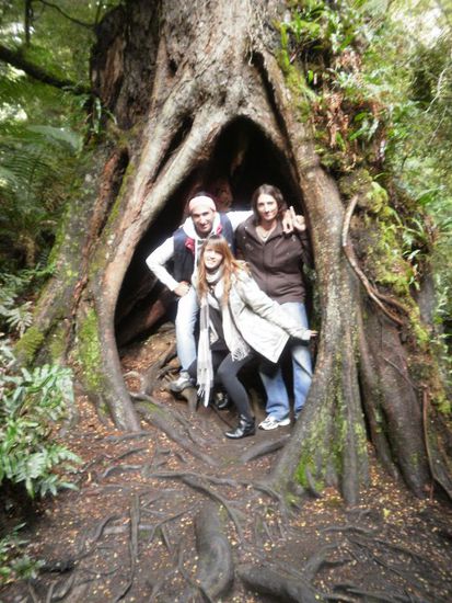 Alice im Wunderland...