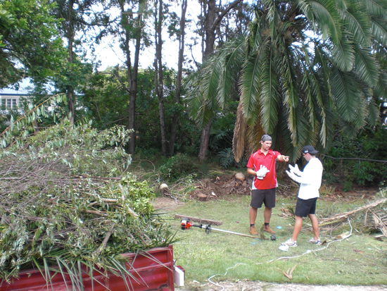 Der jungle ums Haus war ne katastrophe...doch wir hatten unterstuetzung von zwei freunden, die soooo harte arbeit geleistet haben...